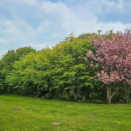 3 Bedroom Lovely In